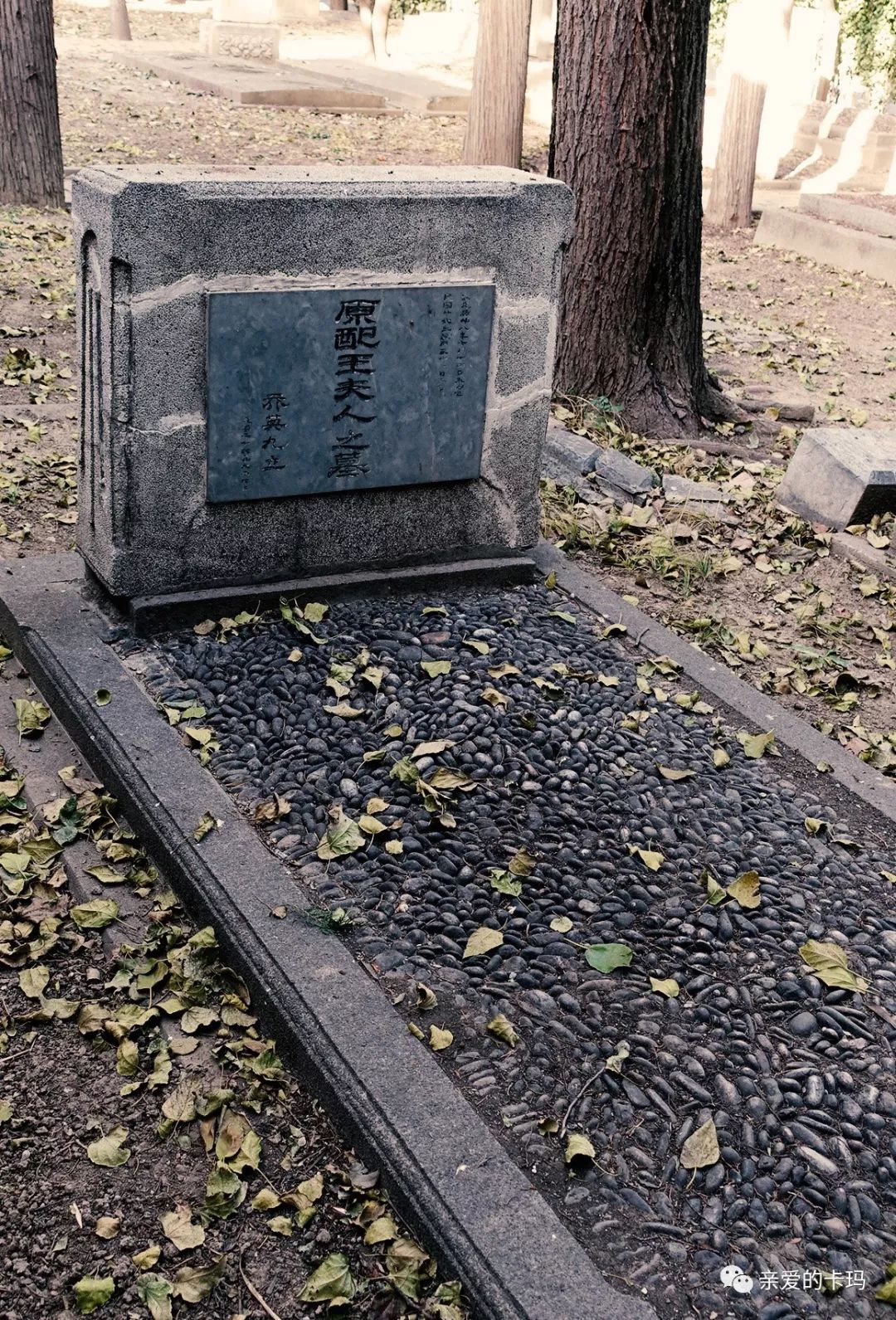 万安公墓的名人墓碑图片