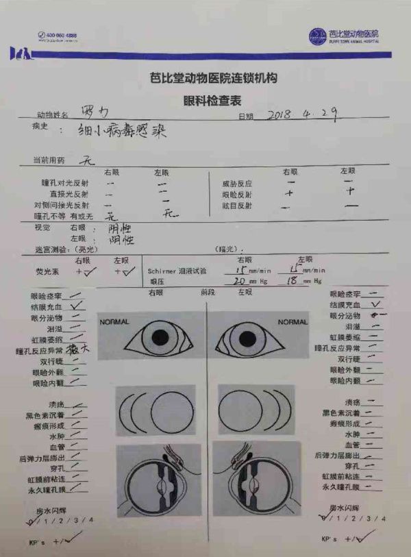 接下来针对我的眼睛特地做了眼科检查