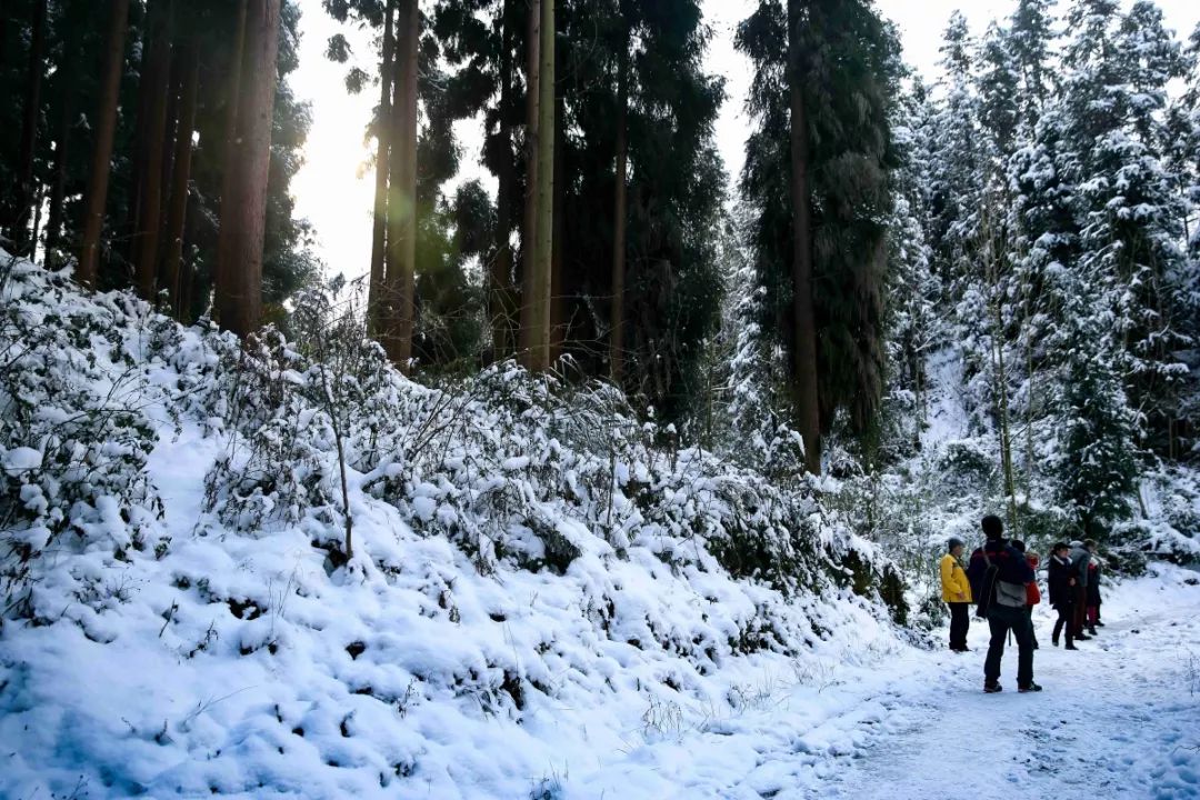 彭州太阳湾雪景图片