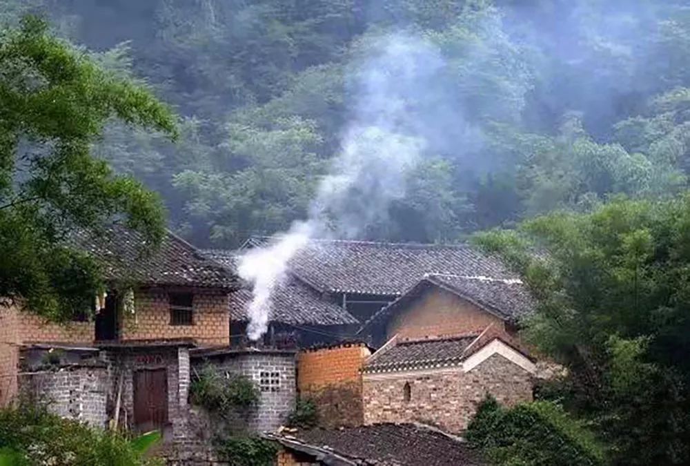 归来有炊烟,也许多年以后,种田才是最好的一种生活方式