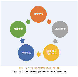 化妝品產品安全與風險管理(Ⅱ)_評估