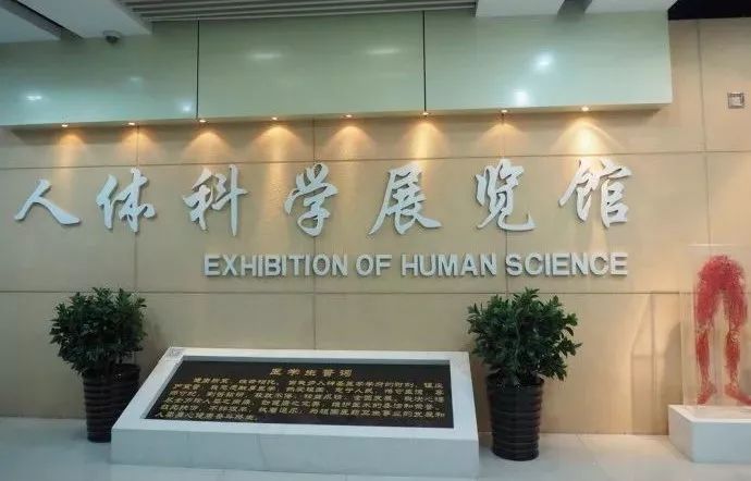 活动预告走进医学院人体科学展览馆一起探寻人体的奥秘