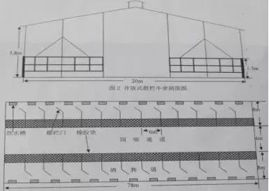 100头牛养牛场投资多少钱百头肉牛场建设方案