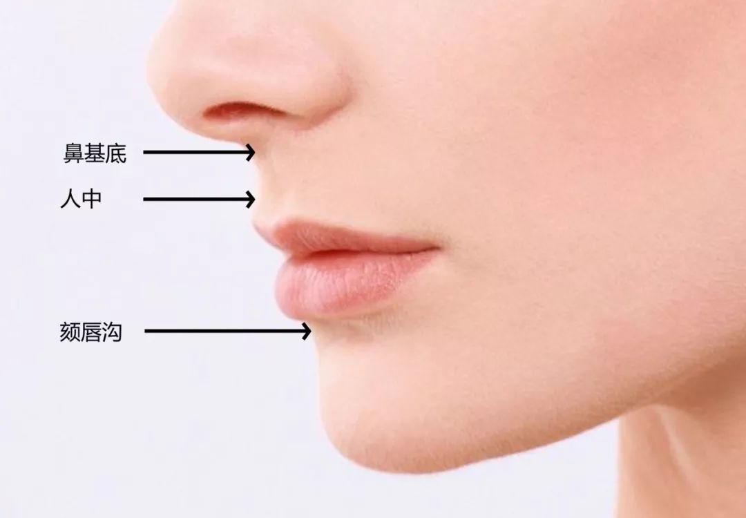 侧面的唇,是被人中凹和颏唇沟的凹陷凸显出来的