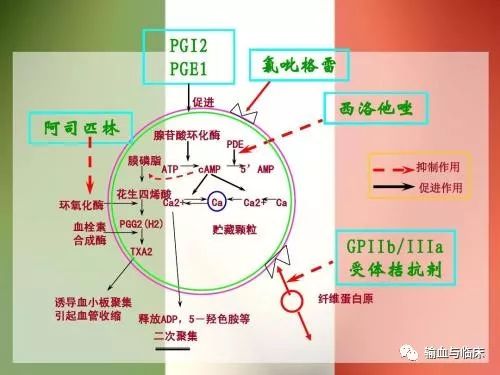 一抗血小板药作用机制是什么?