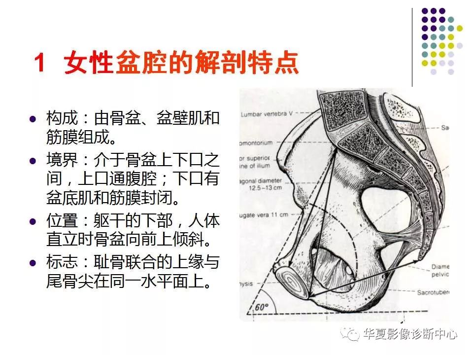 女性盆腔解剖及常见病变的mri诊断