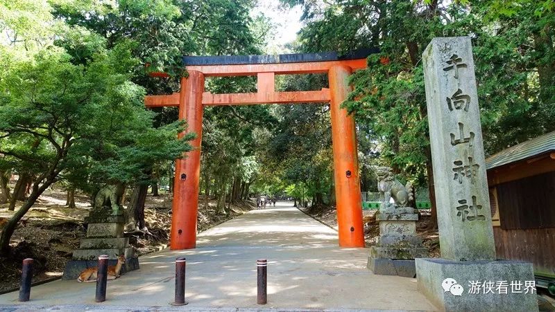 日本千年木造唐代古建築奈良大華嚴寺訪古問幽