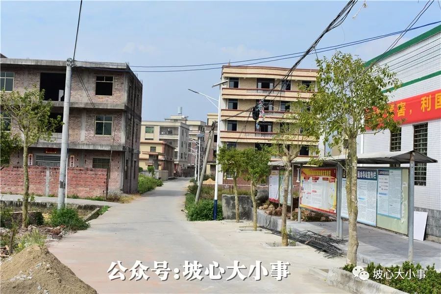 随着新农村的建设,农村越来越美丽,根据坡心镇排河村新农村建设的部署