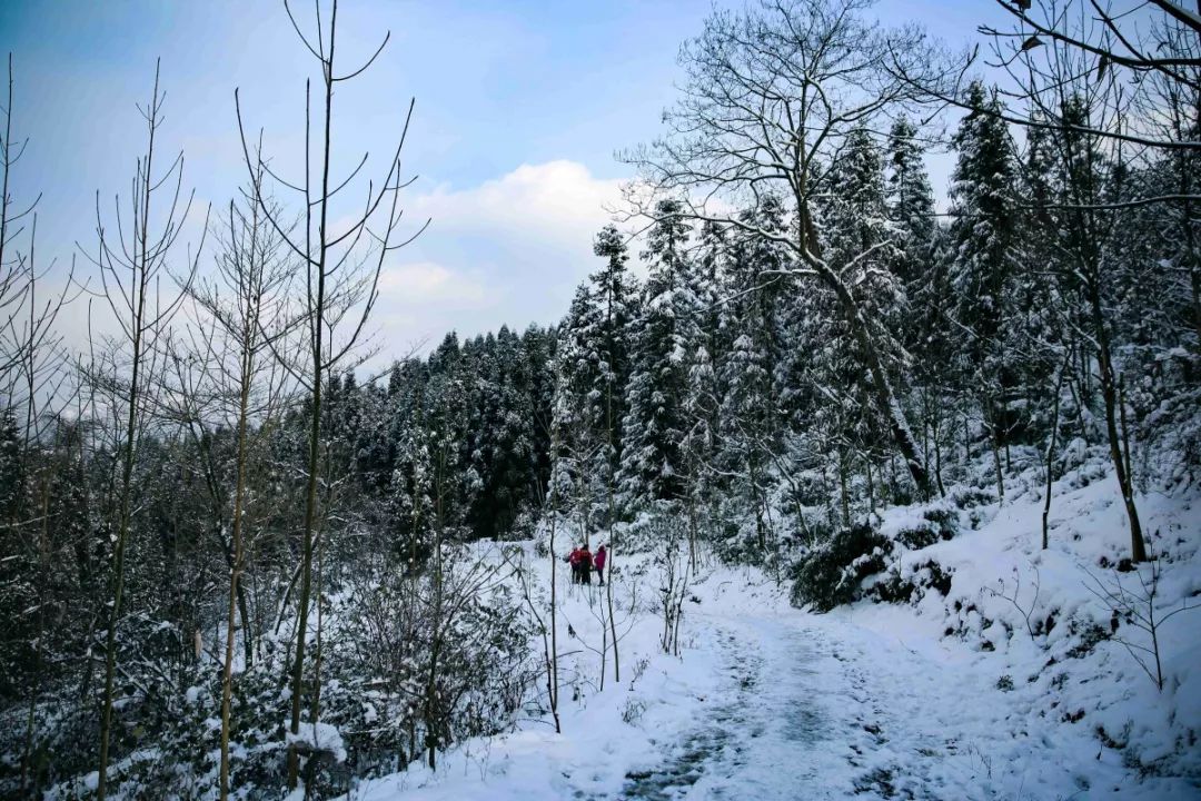 彭州太阳湾雪景图片