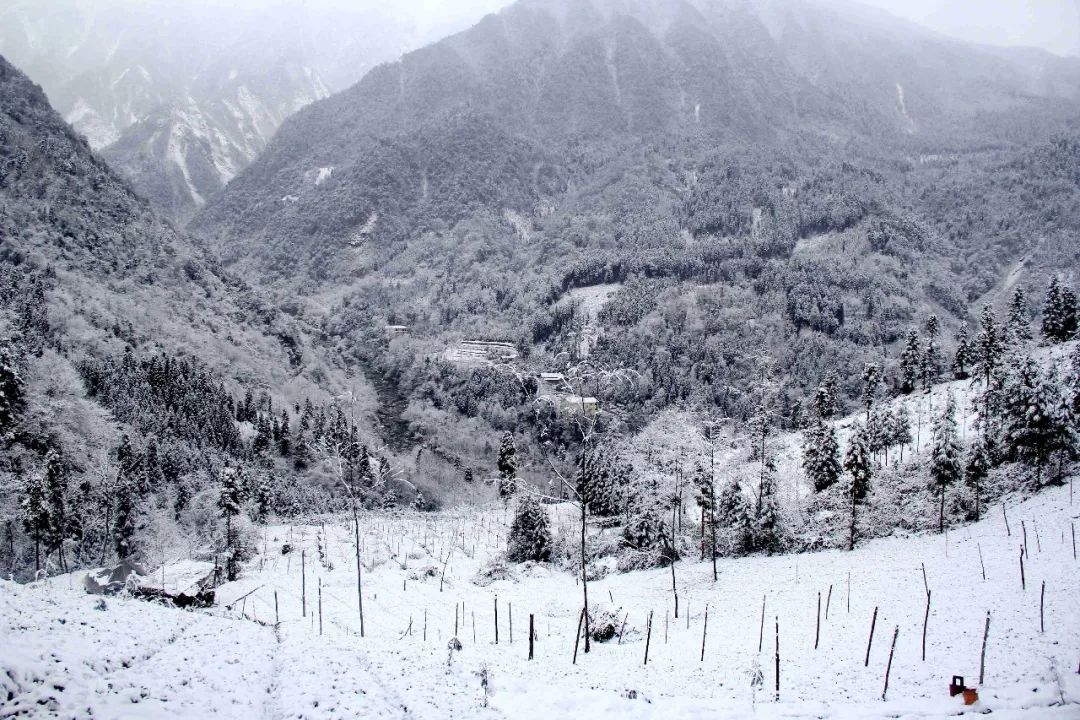 彭州太阳湾雪景图片