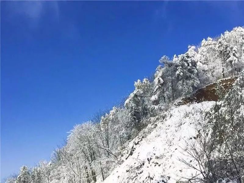 汉阴擂鼓台雪景图片