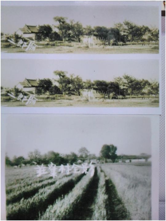 唐山52831部队农场图片