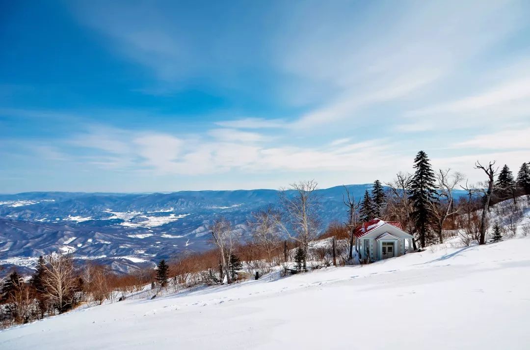 雪地裡的童話世界細數冬日最美雪景