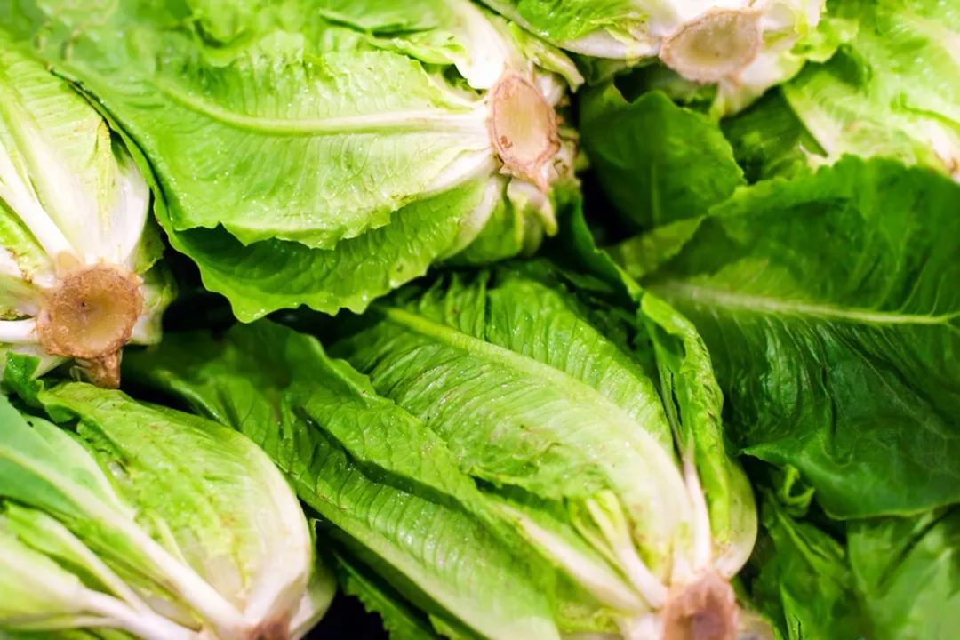 美疾控中心突发警告:把你买的长叶生菜(romaine lettuce)全部扔掉!