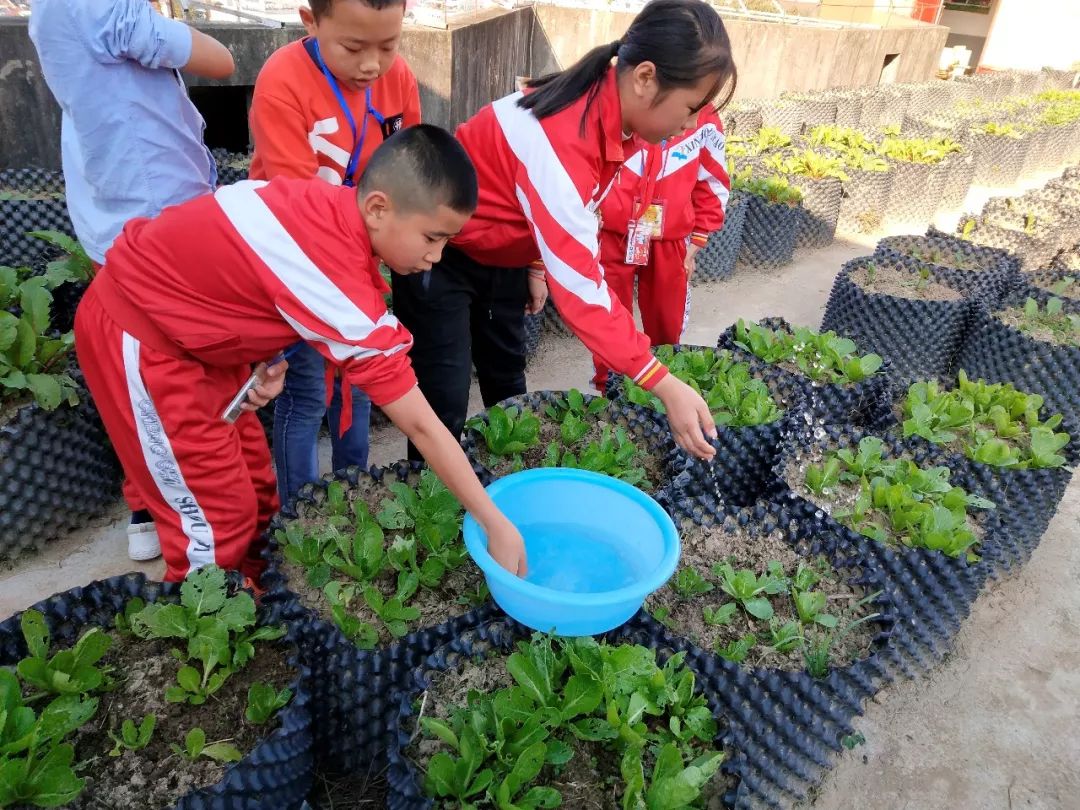 開心農場快樂成長黃平縣新州鎮第一小學開展極具樂趣的少年宮社團活動