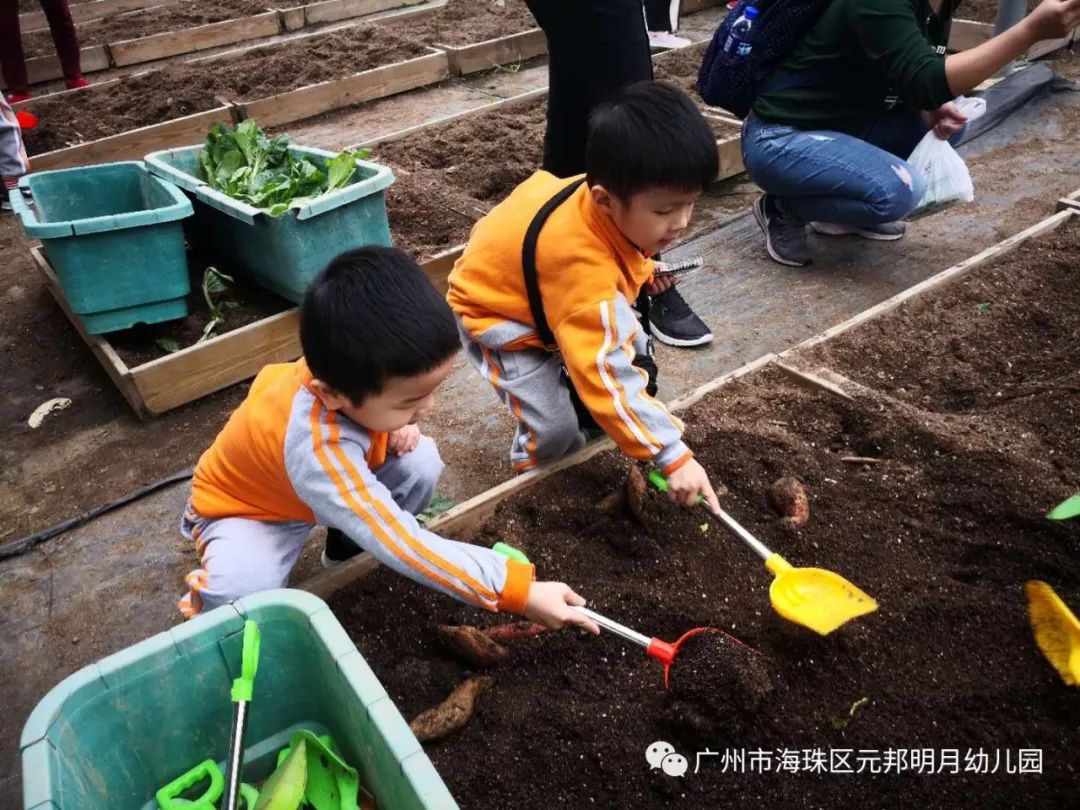 元邦明月园幼儿园图片