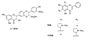 中药化学丨黄酮结构与分类