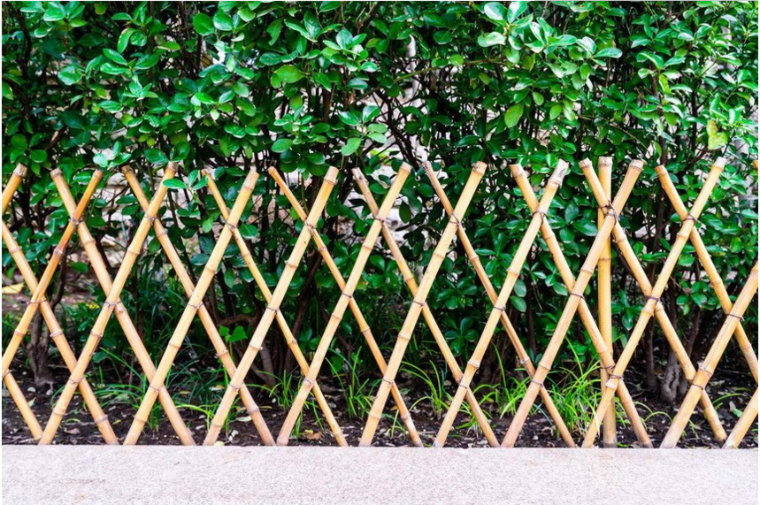 篱笆又叫栅栏,护栏,用来保护院子的一种设施,一般都是由棍子,竹子