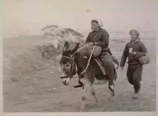 冬,河南林縣的山路上,一對青年夫婦騎著毛驢回孃家騎自行車回孃家駐足