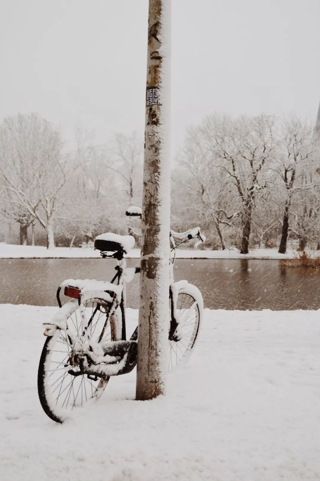 預言來年的收成雪皚皚洗去一歲的風塵雪紛紛photo by andre benz on