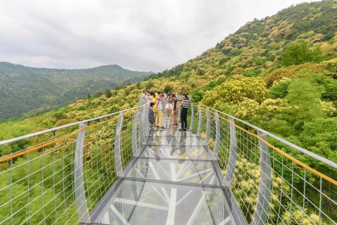 富盈假期皇牌自駕2018收官之作大餘丫山乳源溫泉歡樂自駕之旅