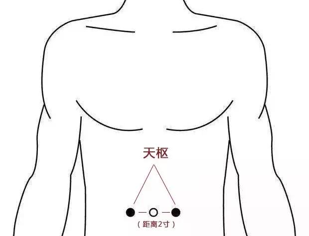 功效:疏調腸腑,理氣行滯;常用於腹瀉,腹痛,便秘腸胃病.