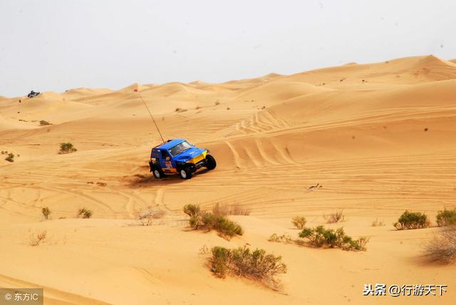 越野車自駕穿越30公里沙漠,撒歡賞景,邂逅天鵝湖!_阿拉善