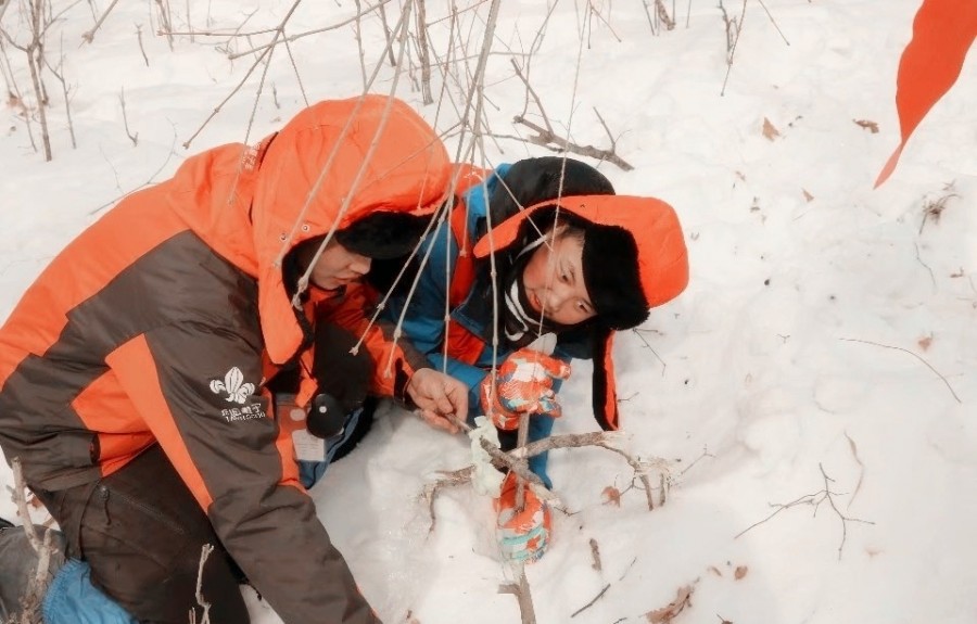 打雪仗:曾几何时,总幻想着呼朋唤友,在雪地里肆意挥洒,来一场雪地