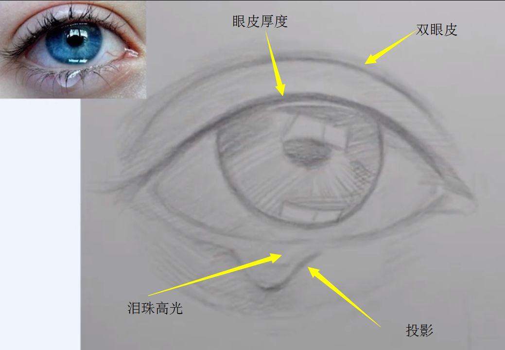 我的天这个流泪的眼睛画的也太好了吧还带教程