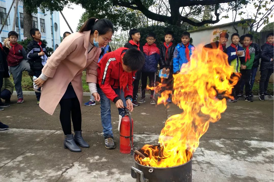 义乌倍磊小学图片