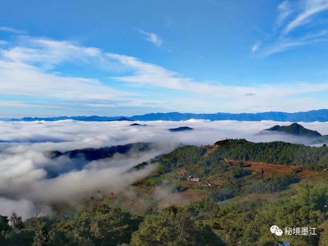 我在墨江的豔陽裡而你在北方的寒冬