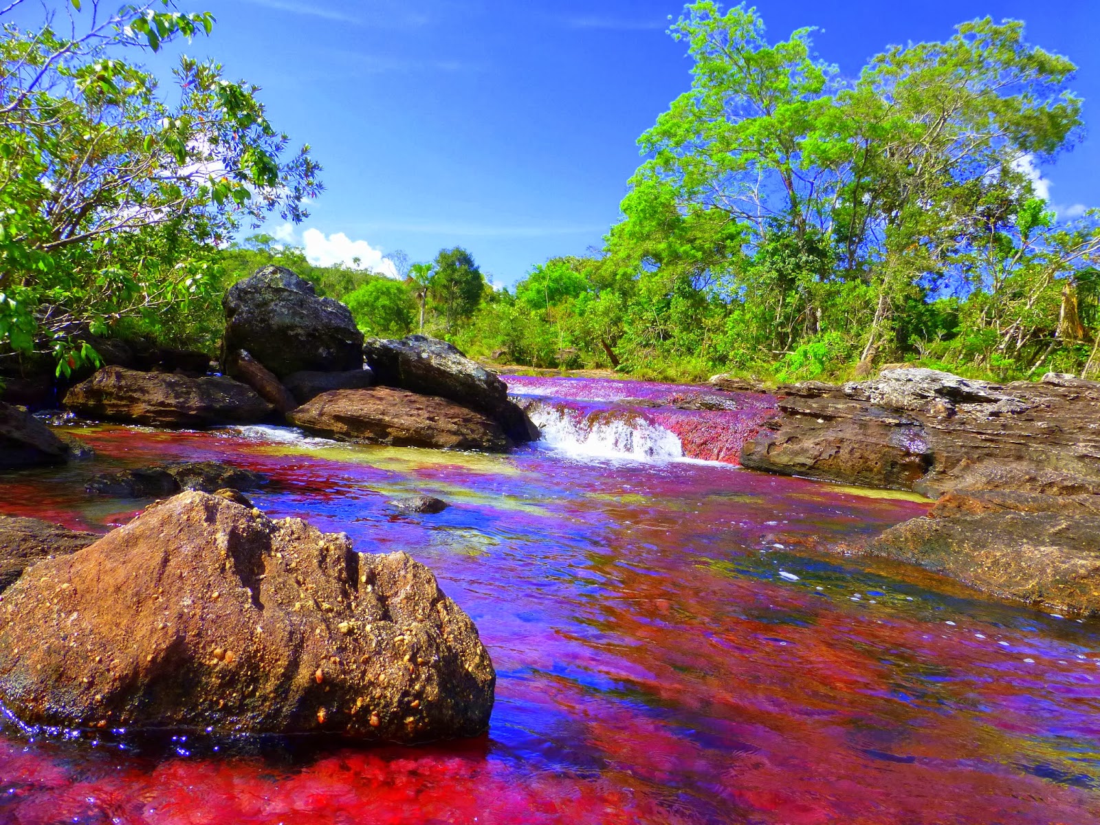 哥伦比亚彩虹河:同时拥有5种颜色,被认为是世界上最美丽的河流