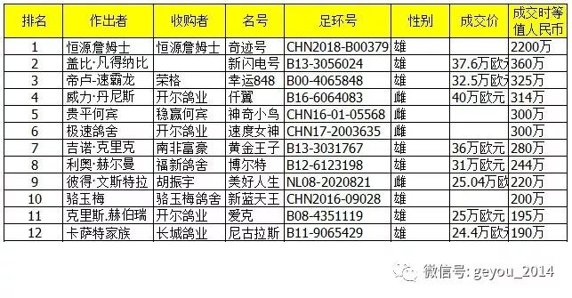 2200万的鸽子标价图片