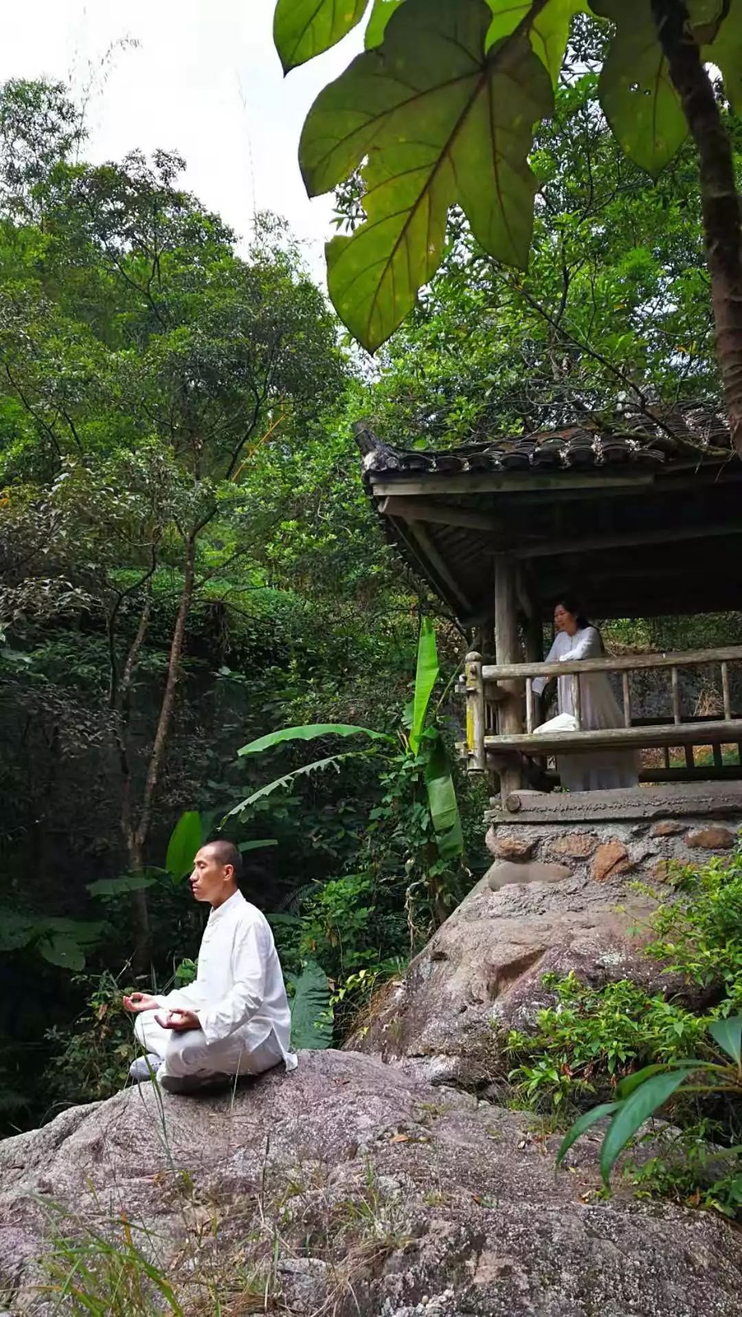 覺的藝術在青山碧水的禪境中輕鬆自在地覺醒