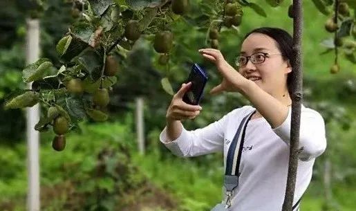 时代楷模身边的感动丨90后扶贫女干部车祸遇难扶贫两月走烂两双鞋