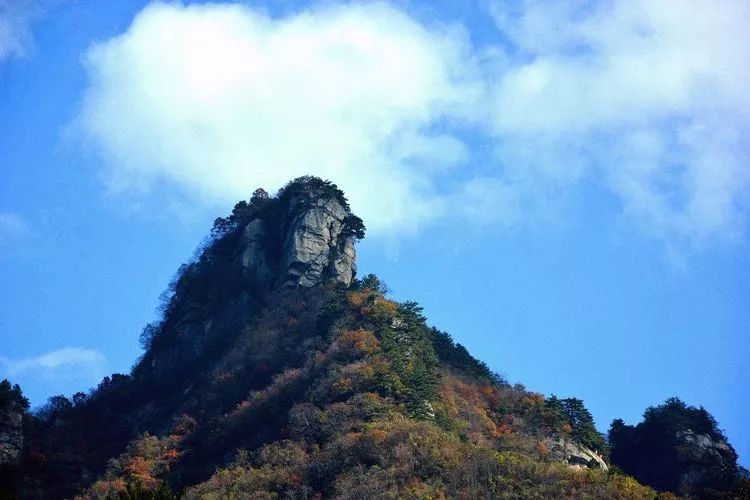 金寨五猴山风景区图片