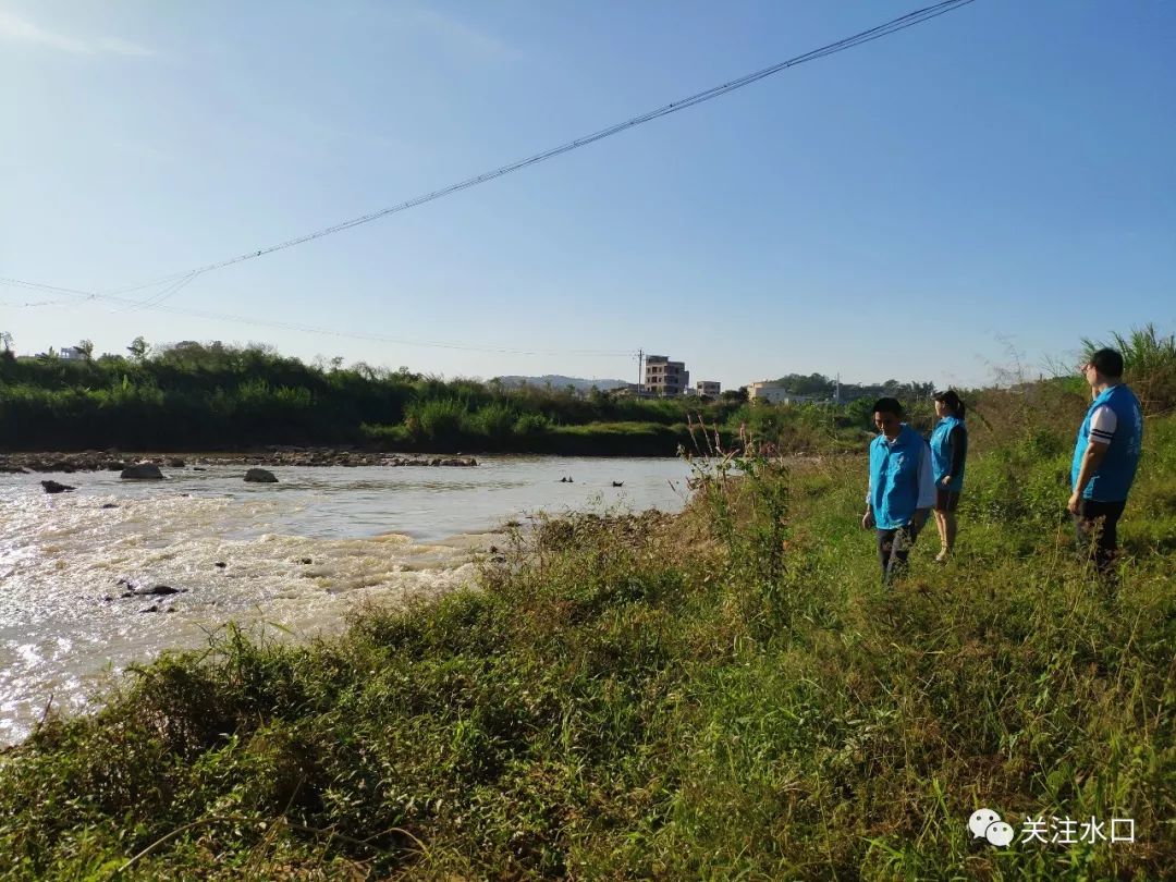 信宜這個鄉鎮巡河清河大行動確保水清岸綠景美