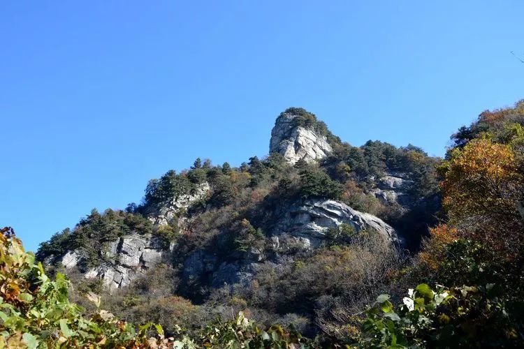 金寨五猴山风景区图片