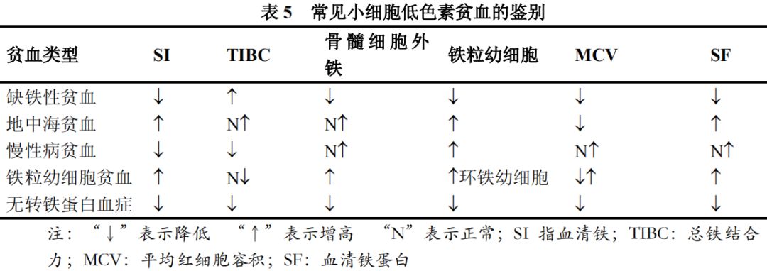 深入了解儿童贫血