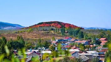 蓟州区西龙虎峪镇规划图片