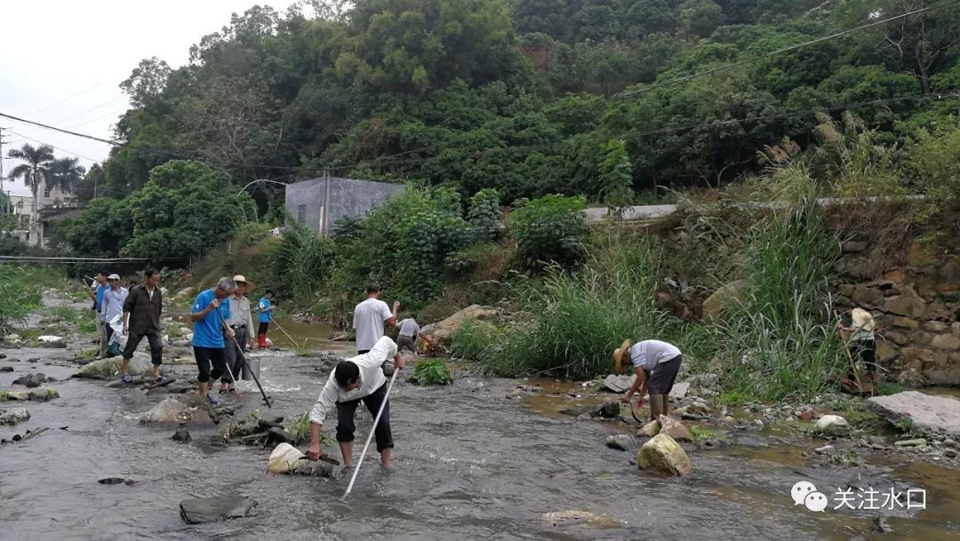 信宜这个乡镇巡河清河大行动确保水清岸绿景美