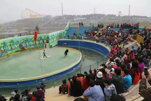 是目前中原地區唯一一家原生態,無籠化,零距離的野生動物園