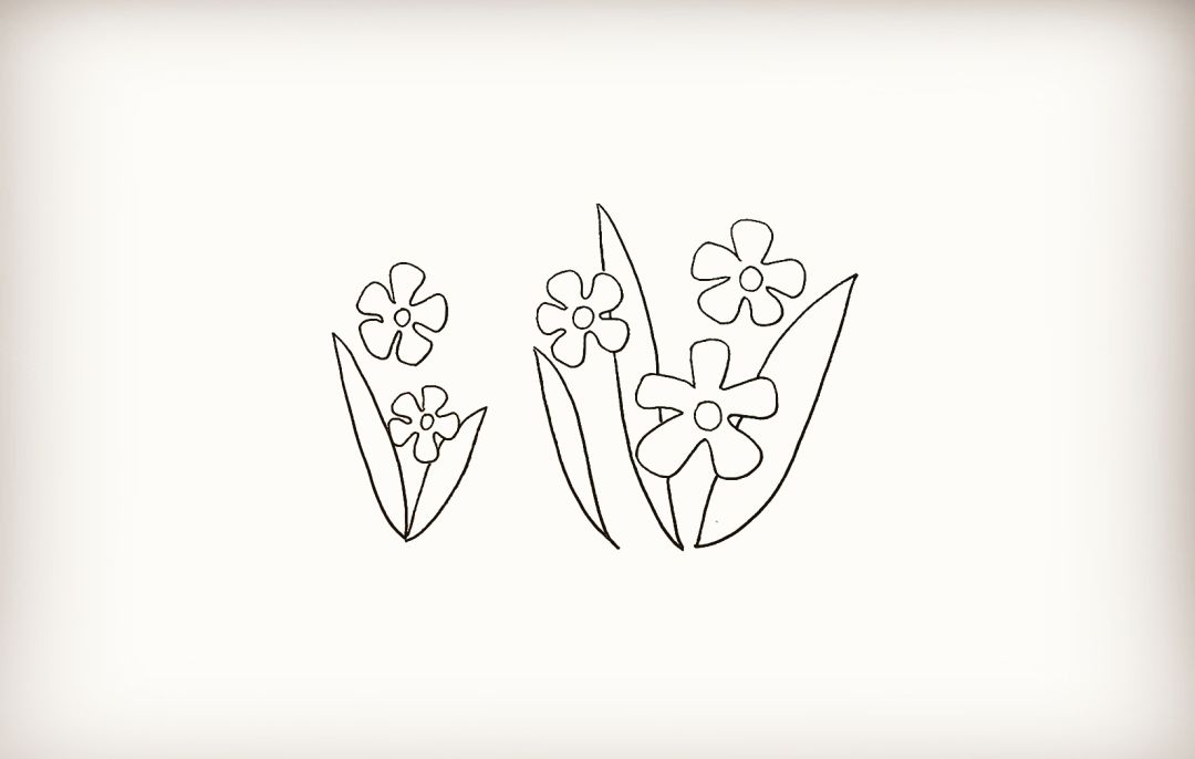 十朵花瓣的花简笔画图片