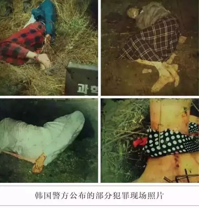 韩国犯罪现场图片