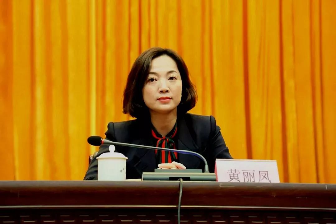 区委常委,宣传部长黄丽凤参加会议