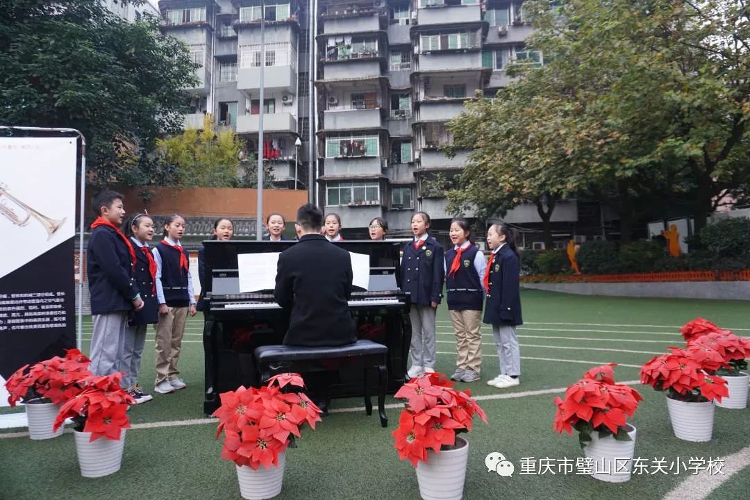 璧山三合小学图片