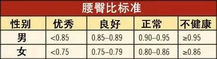 别再纠结体重了腰臀比才是决定胖瘦的关键