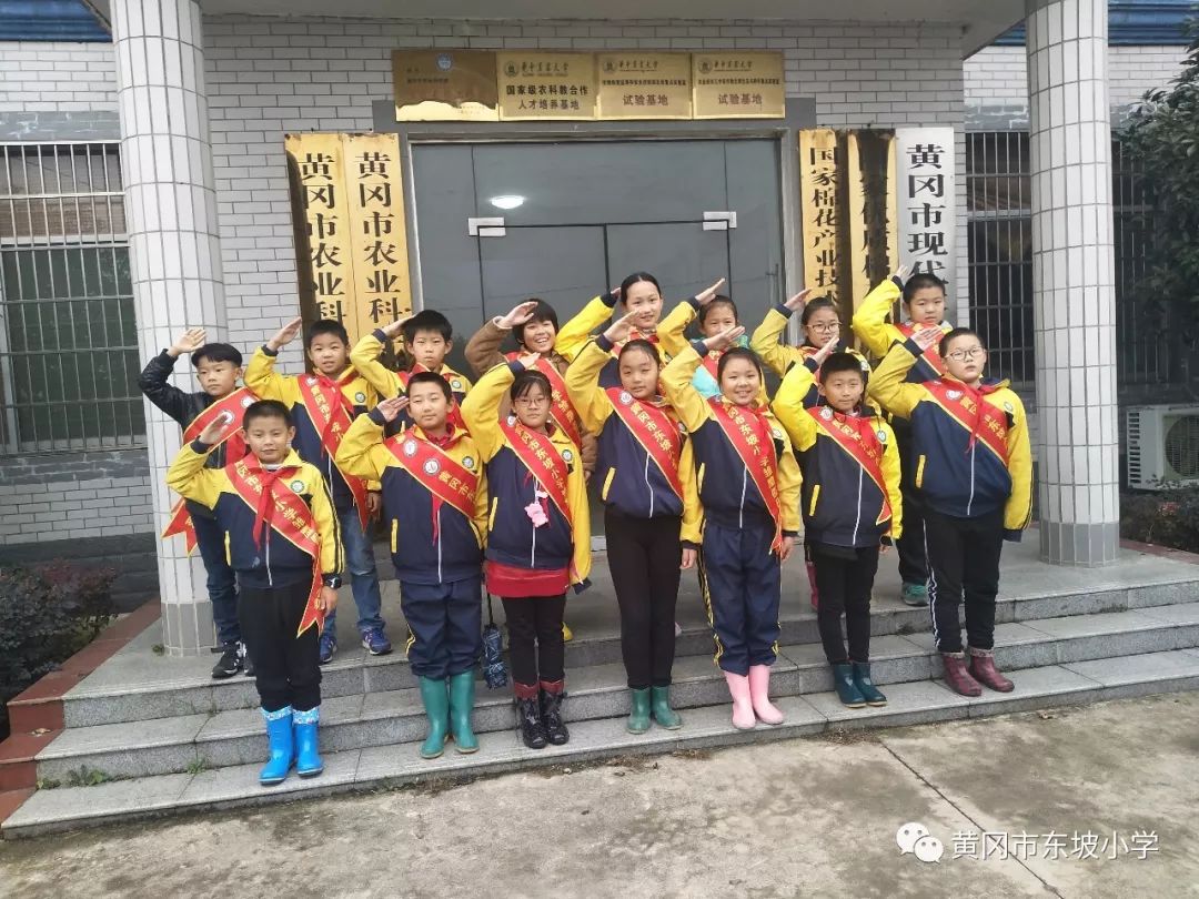 黄冈市东坡小学图片