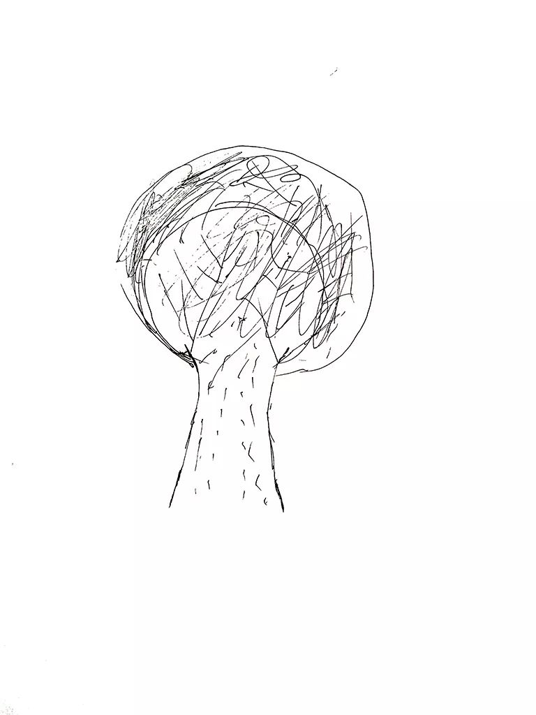 著名的画树心理测试图片