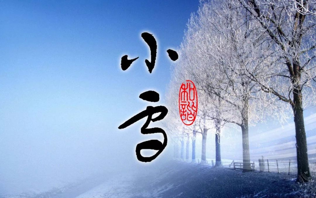 小者未盛丨趙學敏自作二十四節氣詩小雪書法欣賞